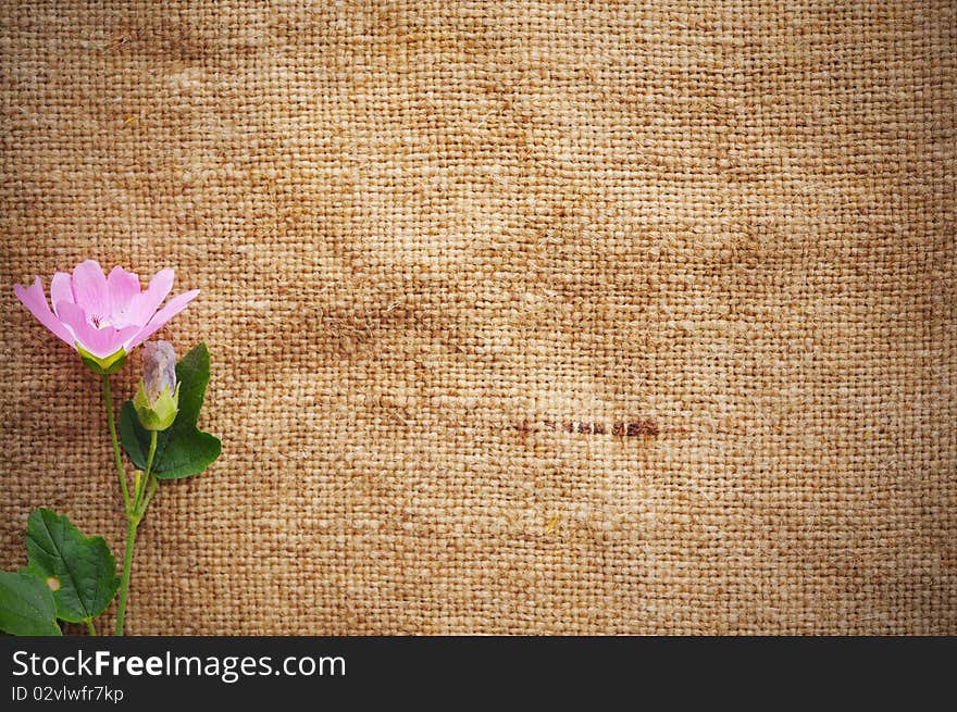 Blank Grungy Canvas Background