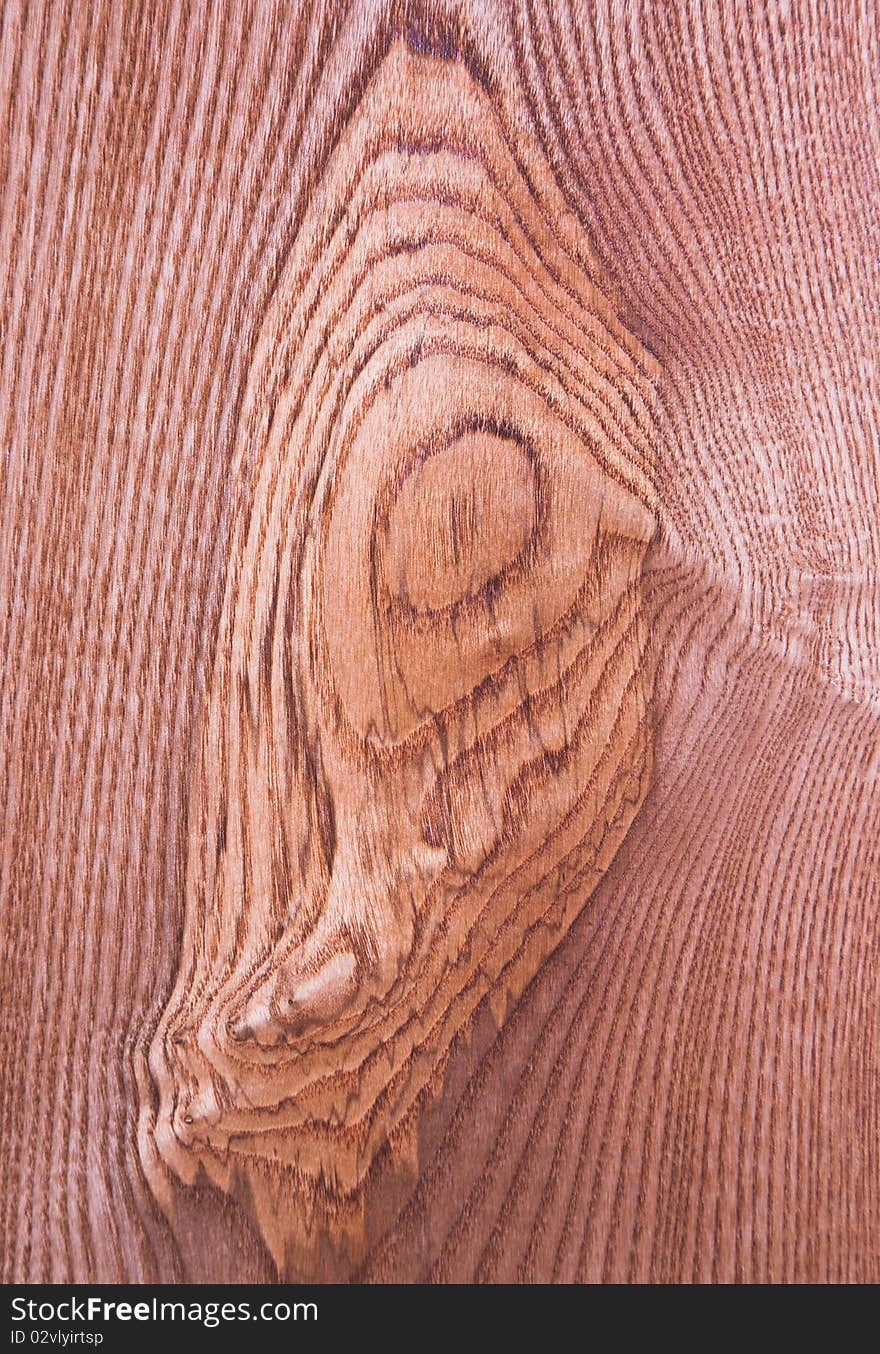 Wood texture, close-up photo