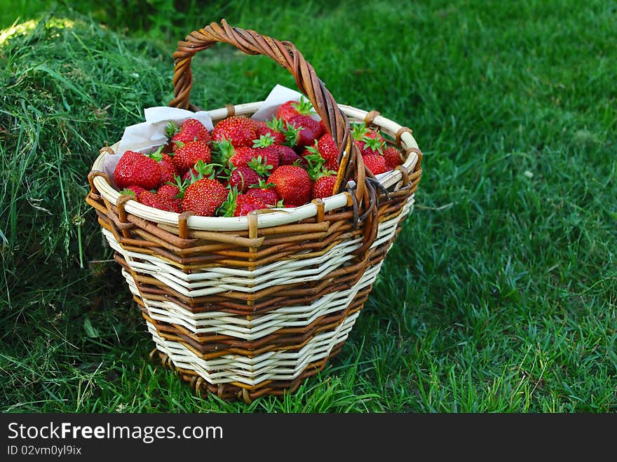 Basket full of fresh ripe strawberry. Food frame background. Basket full of fresh ripe strawberry. Food frame background