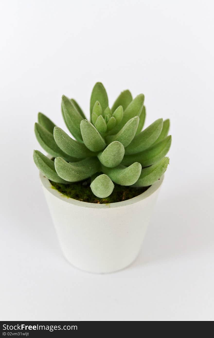 Decorative artificial flower on a white background