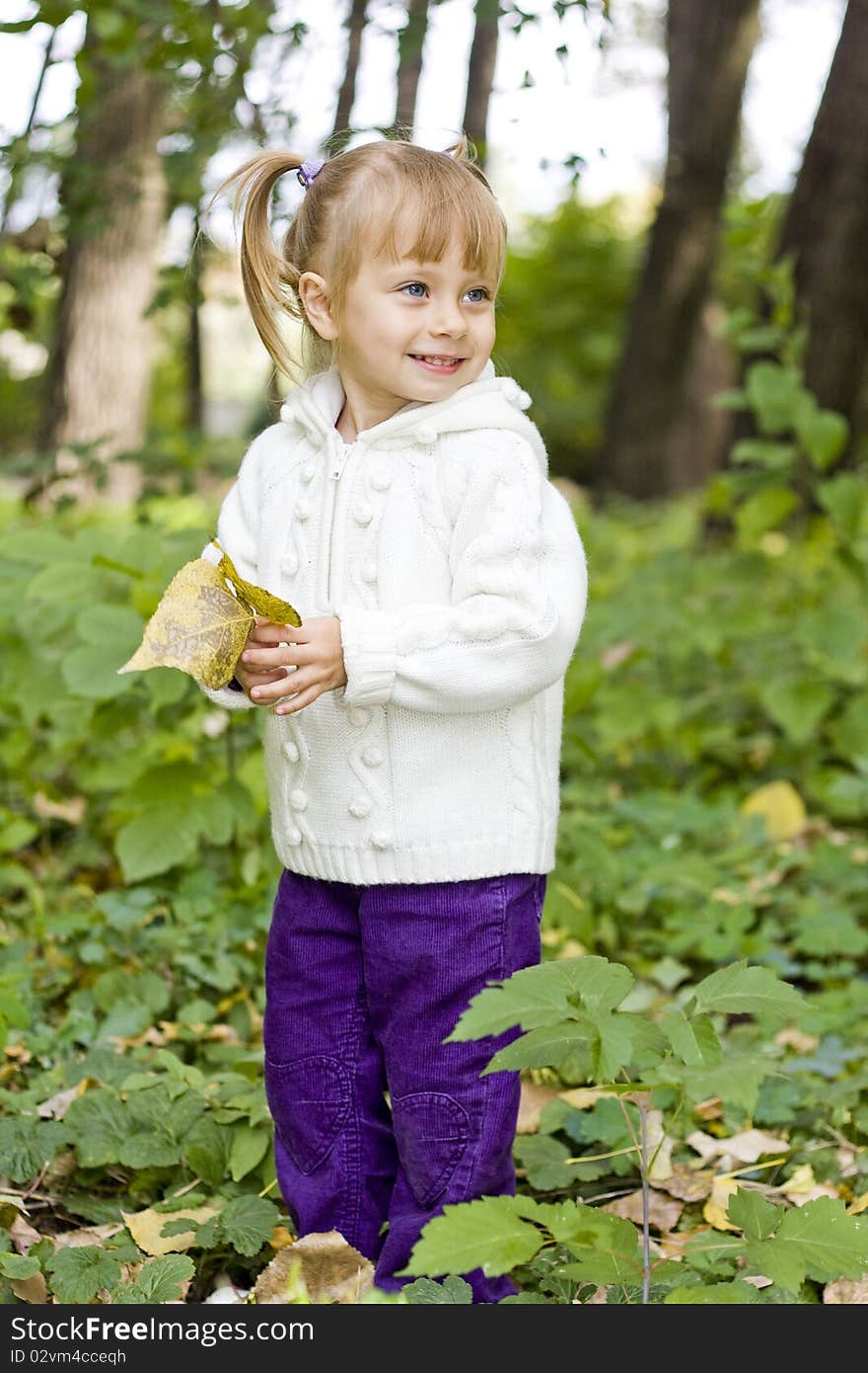 Little girl playing in autumn park. Little girl playing in autumn park