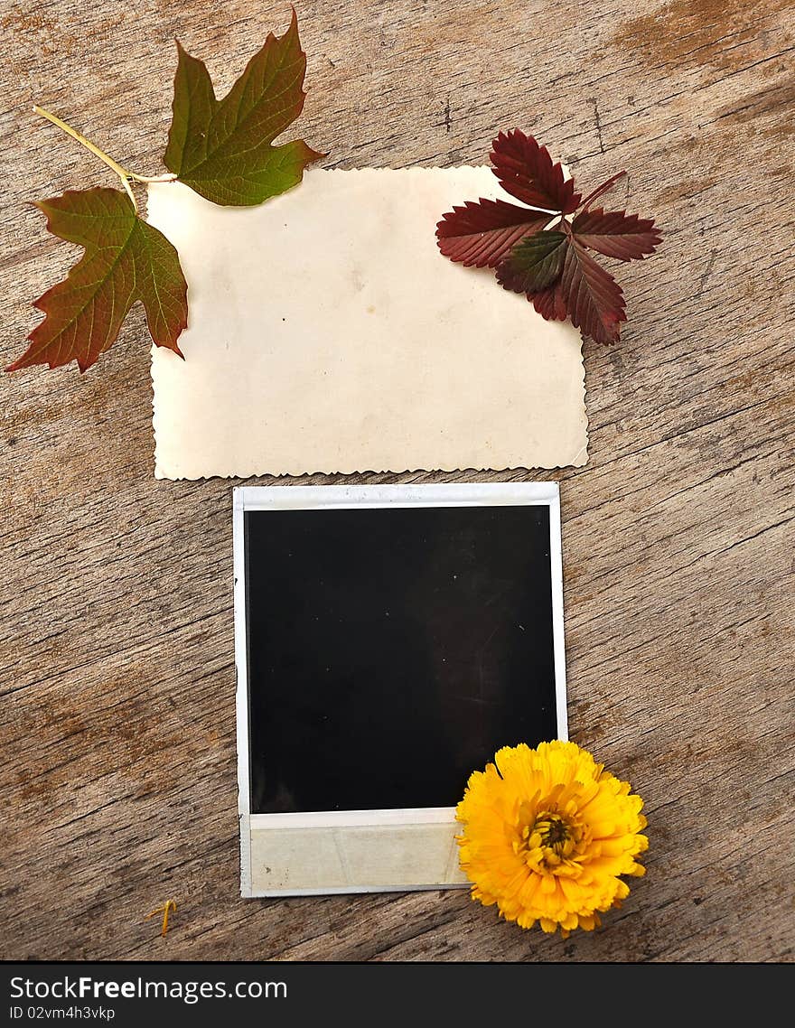 Vintage blank photo frame on wooden background