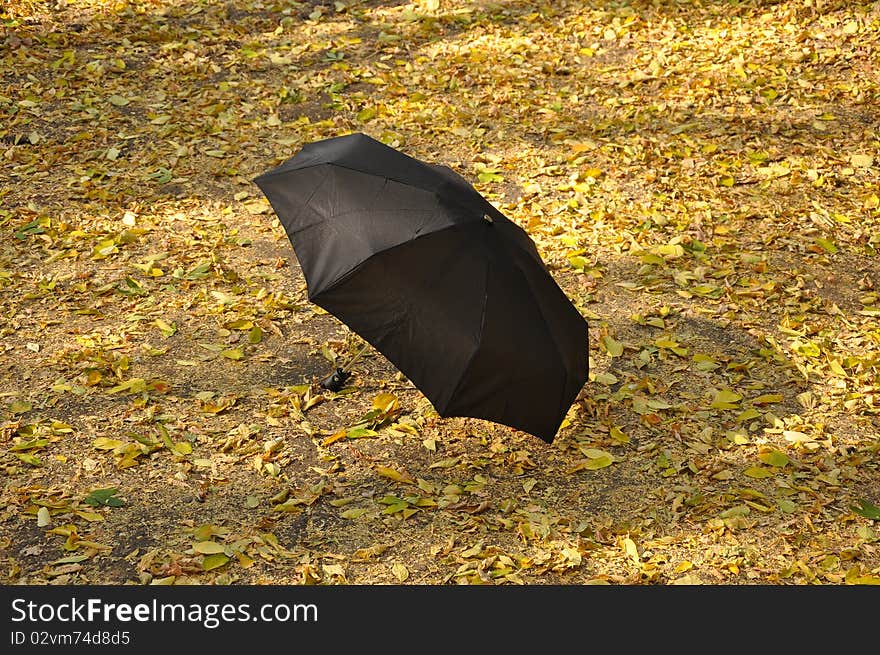 Umbrella in a park