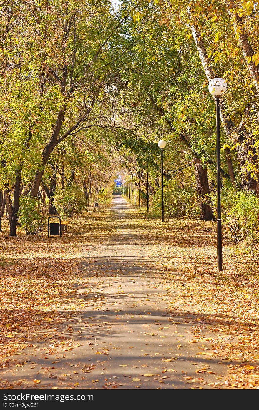 Scenic view colorful autumn pathway in the park