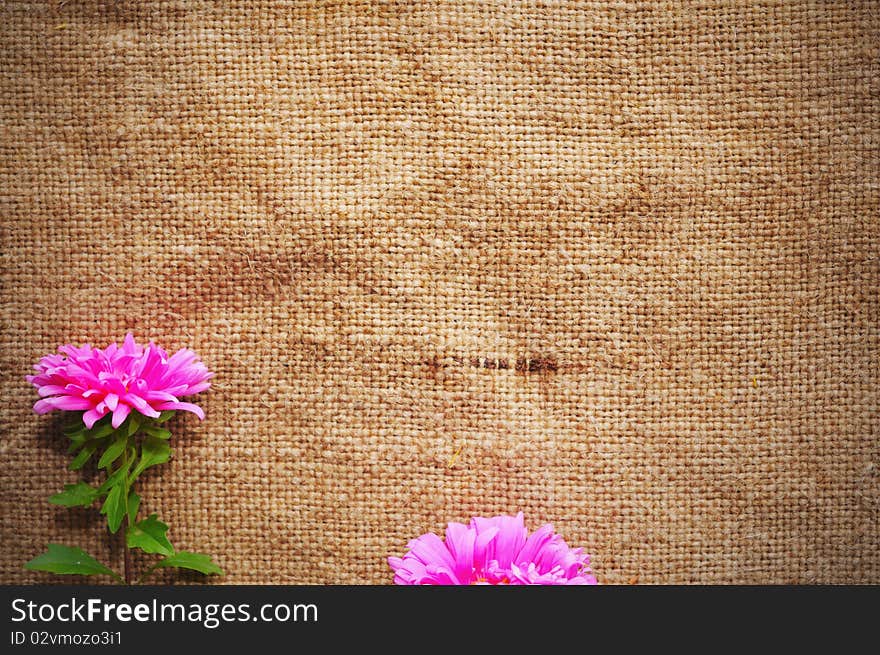 A blank grungy canvas texture. Great for backgrounds. A blank grungy canvas texture. Great for backgrounds.