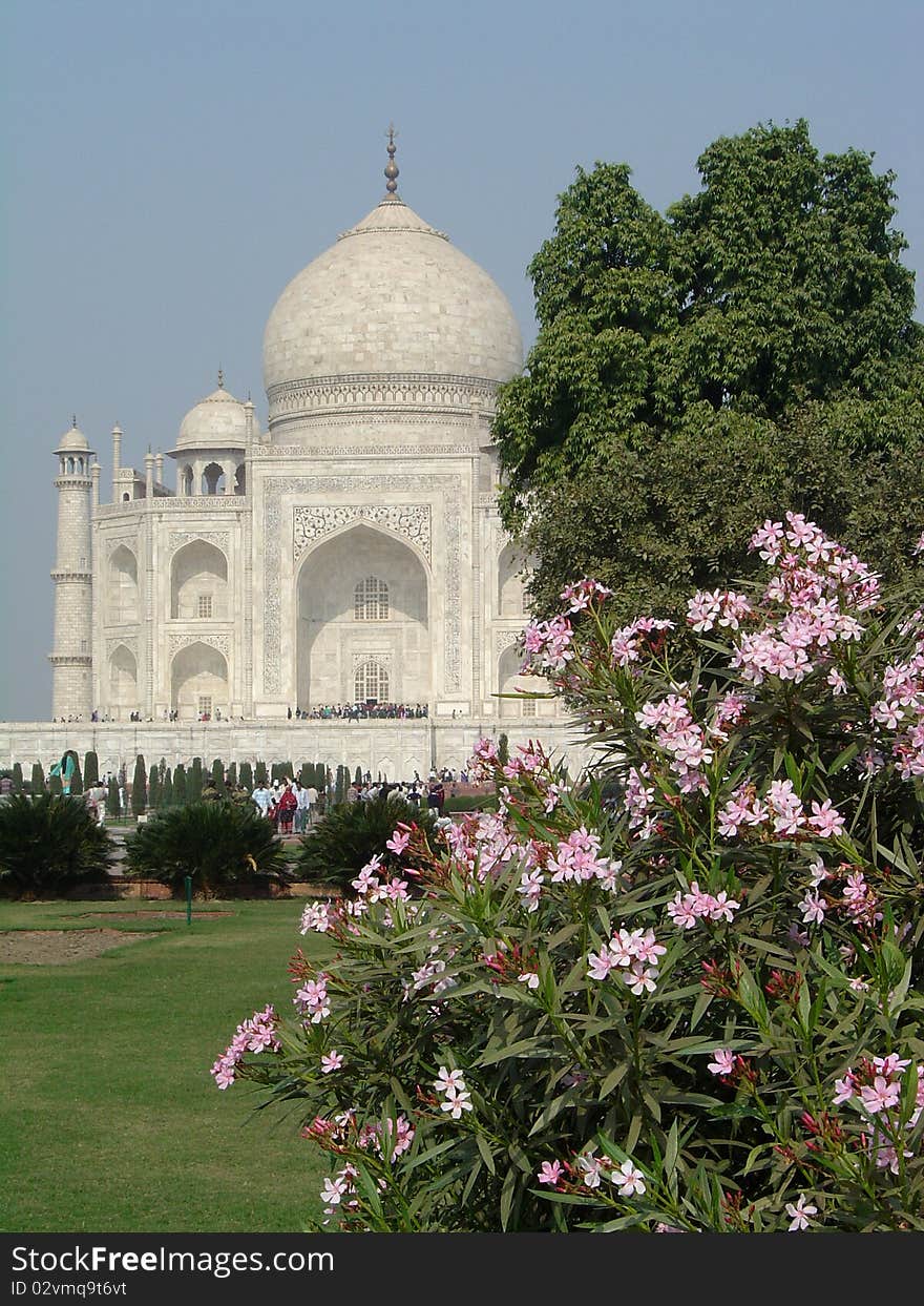 Taj Mahal and oleander