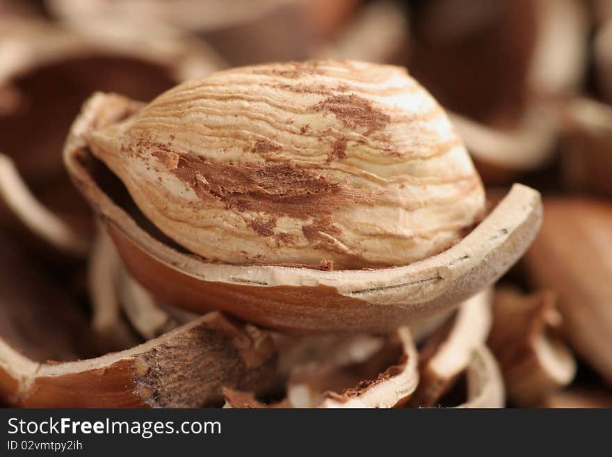 Hazelnut core on a background composed of cracked hazelnuts nutshells. Hazelnut core on a background composed of cracked hazelnuts nutshells