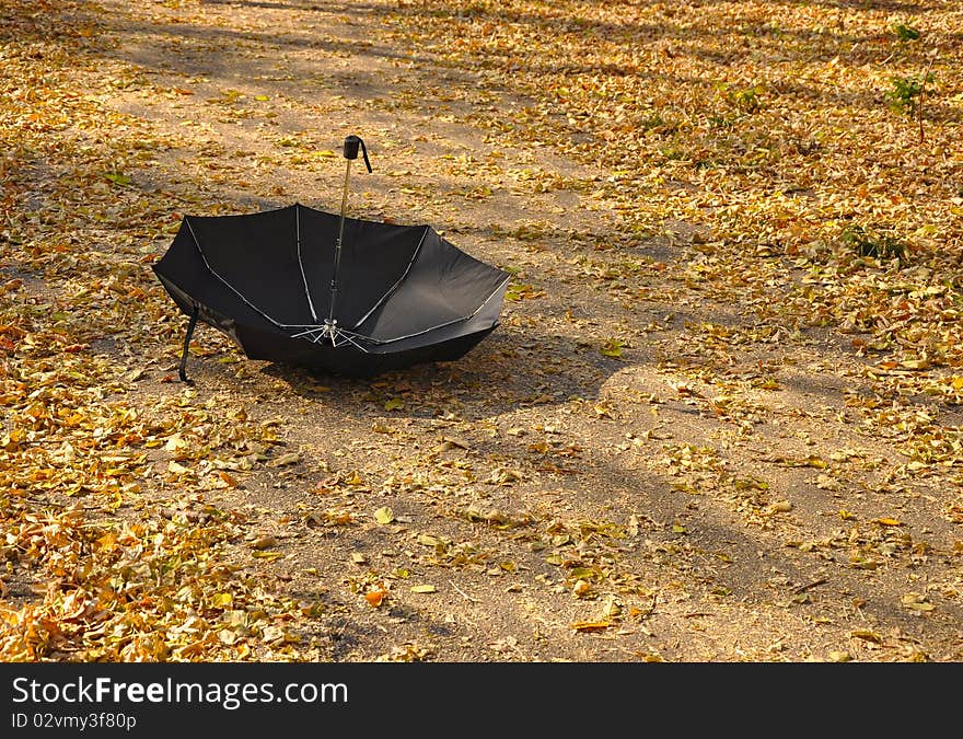 Black umbrella on autumn foliage in a park. Black umbrella on autumn foliage in a park