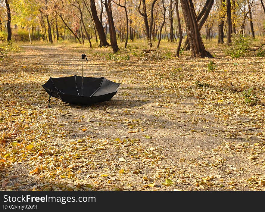 Umbrella in a park