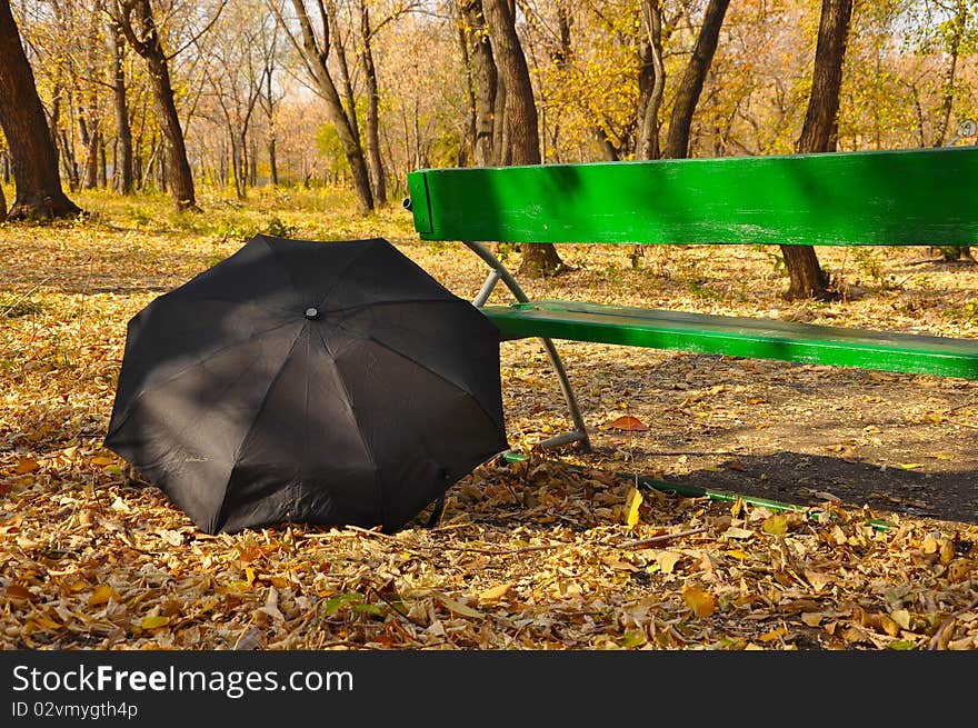 Black umbrella on autumn foliage in a park. Black umbrella on autumn foliage in a park