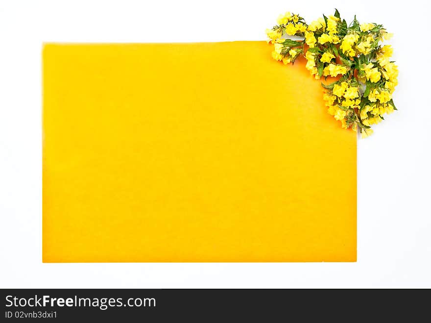 Yellow card on white background with flowers design