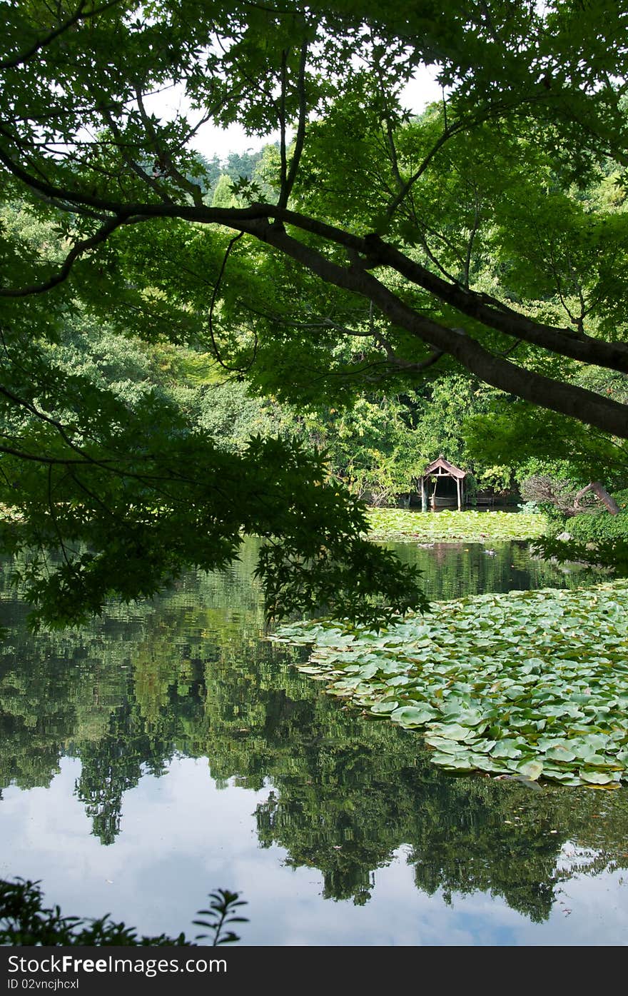 Japanese pond