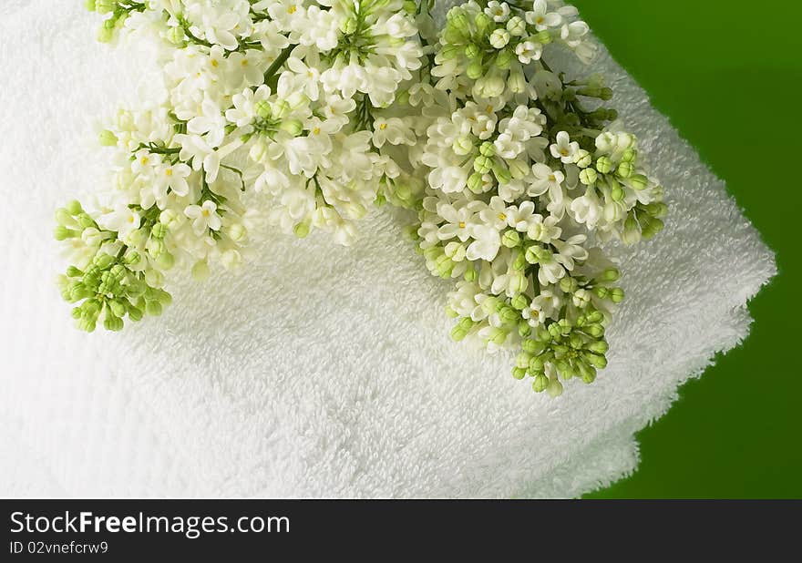 Pile white towels on green background and branch of white lilac