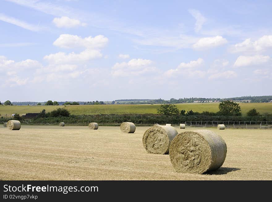 Agriculture Industry