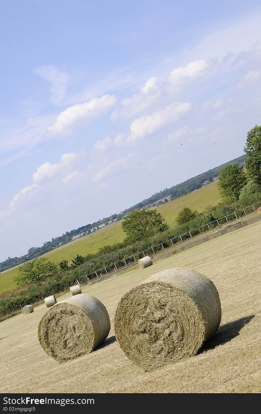 Closeup with hay bales