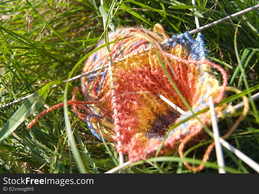 Tricolored clew with knitted pattern and five needles is on green bright grass. Tricolored clew with knitted pattern and five needles is on green bright grass