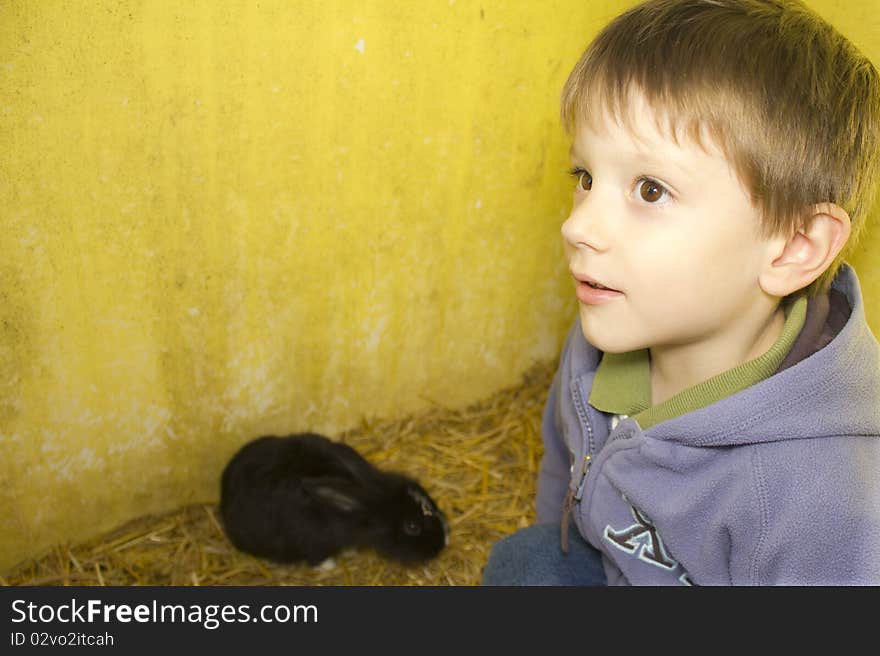 Young boy in the farm, black rabbit in the background. Young boy in the farm, black rabbit in the background