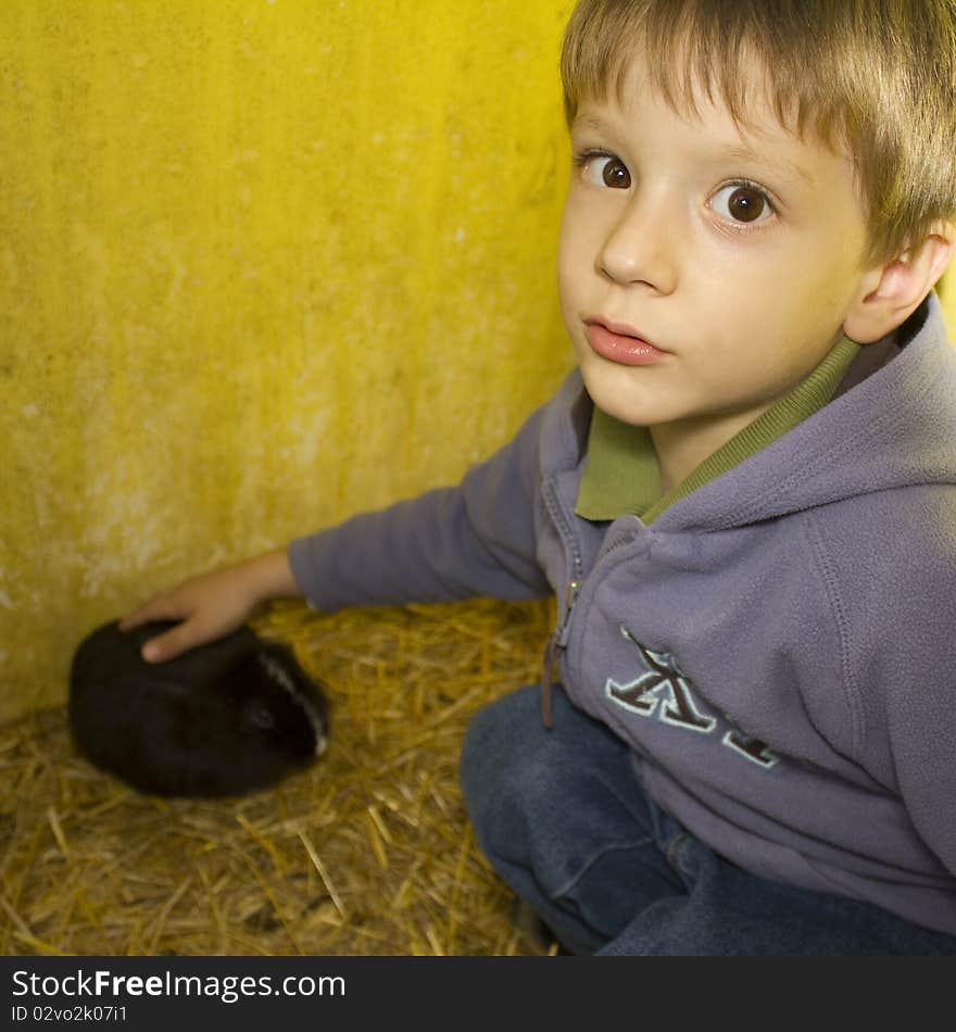 Young boy in the farm playing with a black rabbit. Young boy in the farm playing with a black rabbit.