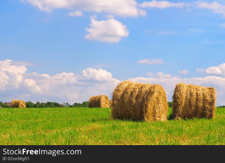 Straw bales on field