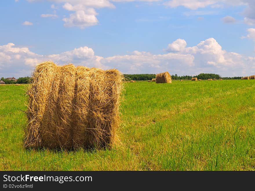 Straw Bales On Field