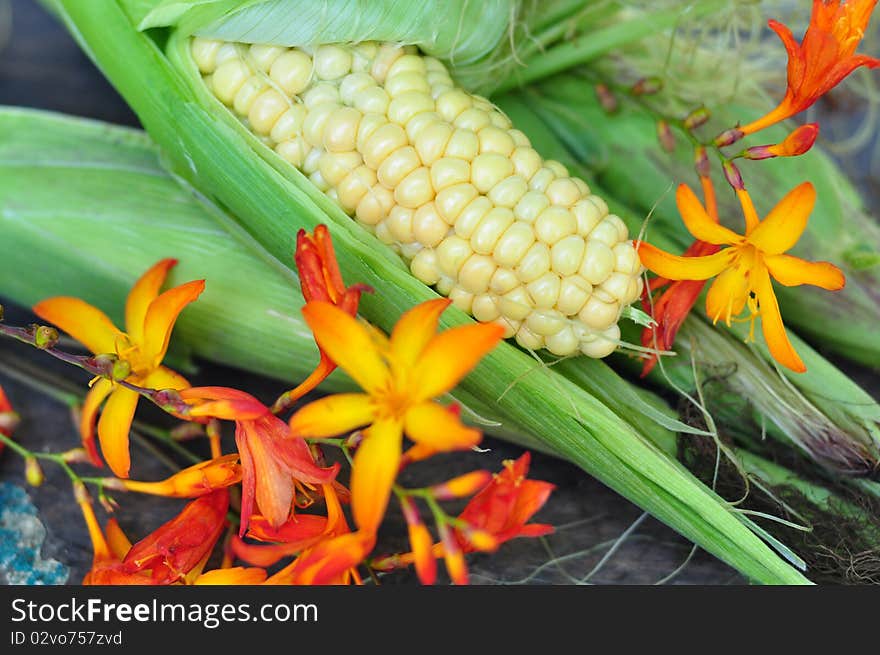 Corn-cob and flowers