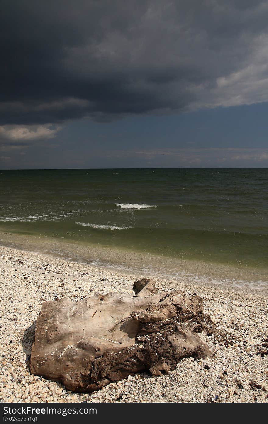 Beach full of shells in Romania, on the Black Sea coast. Beach full of shells in Romania, on the Black Sea coast