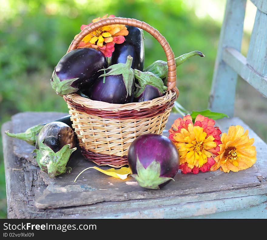 Egg-plants and flowers