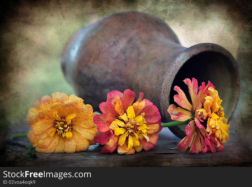 Jug and flowers