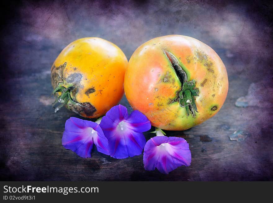 Tomatoes and flowers