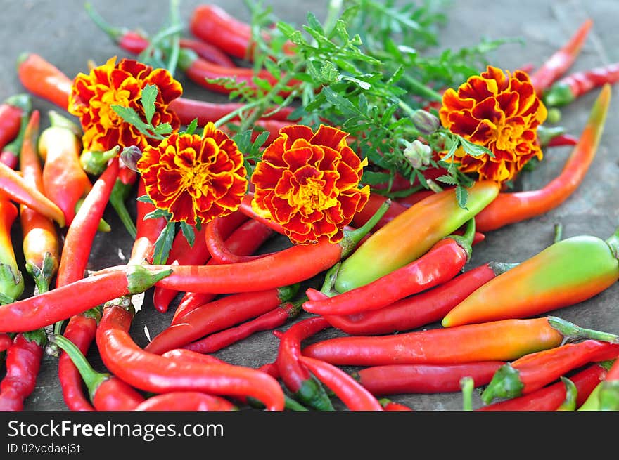 Bitter cayenne, alongside flowers lie marigolds. Bitter cayenne, alongside flowers lie marigolds