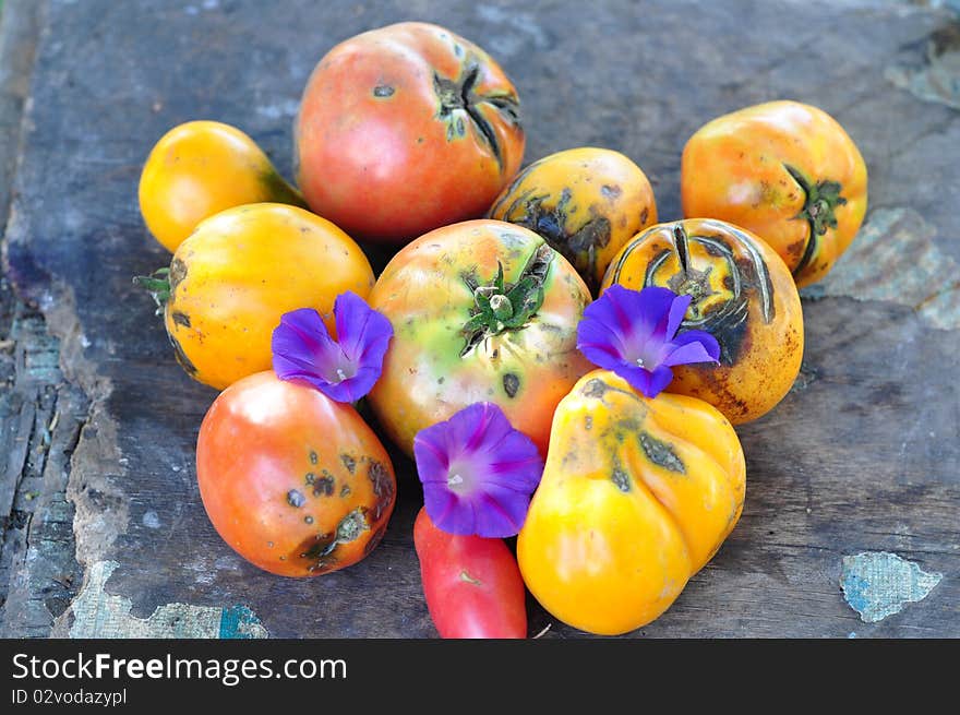 Tomatoes and flowers