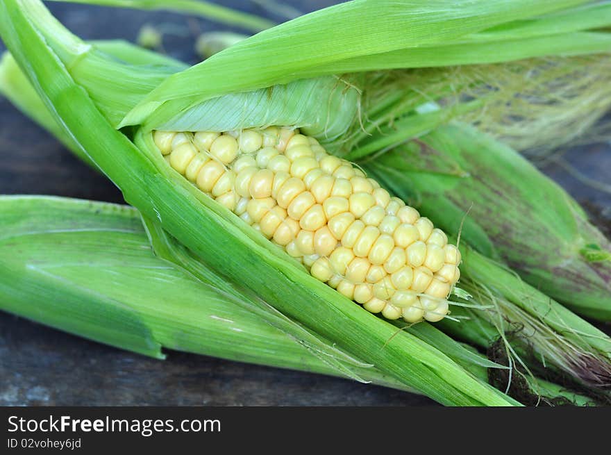 A corn-cob is in a green husk