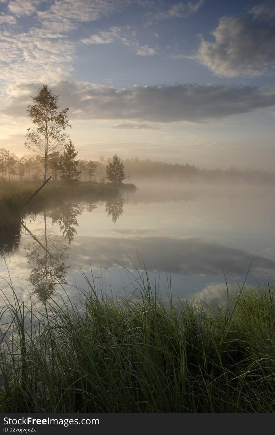 Bog lake early morning summer