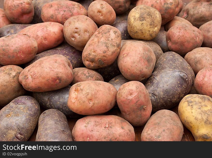 New potatoes for background or food