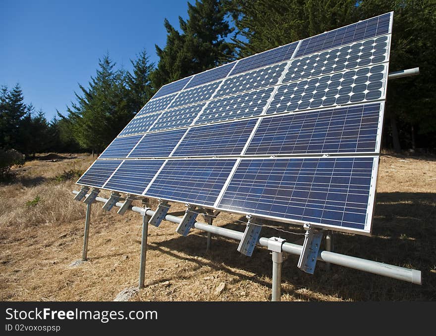 A solar panel array sits amongst the trees. A solar panel array sits amongst the trees.