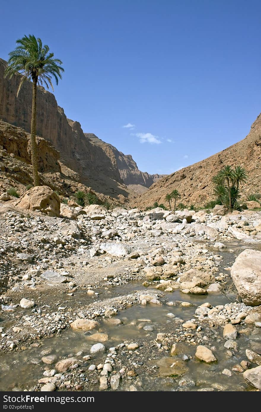 View of Todra Gorges, Morocco