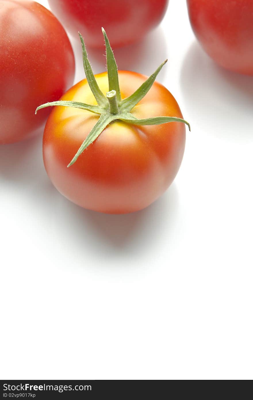 Ripe red tomatoes on white background along top of frame. Copy space beneath