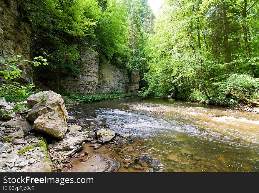 Whitewater in the Black Forest between trees and rocks