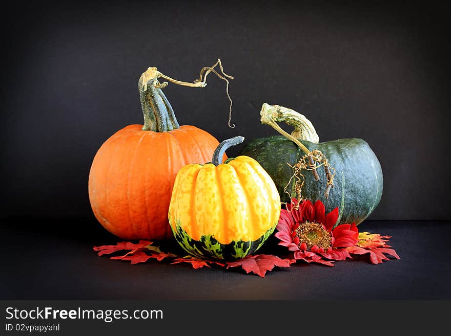 A pumpkin, squash, fall leaves and sunflower, against a black background. A pumpkin, squash, fall leaves and sunflower, against a black background.