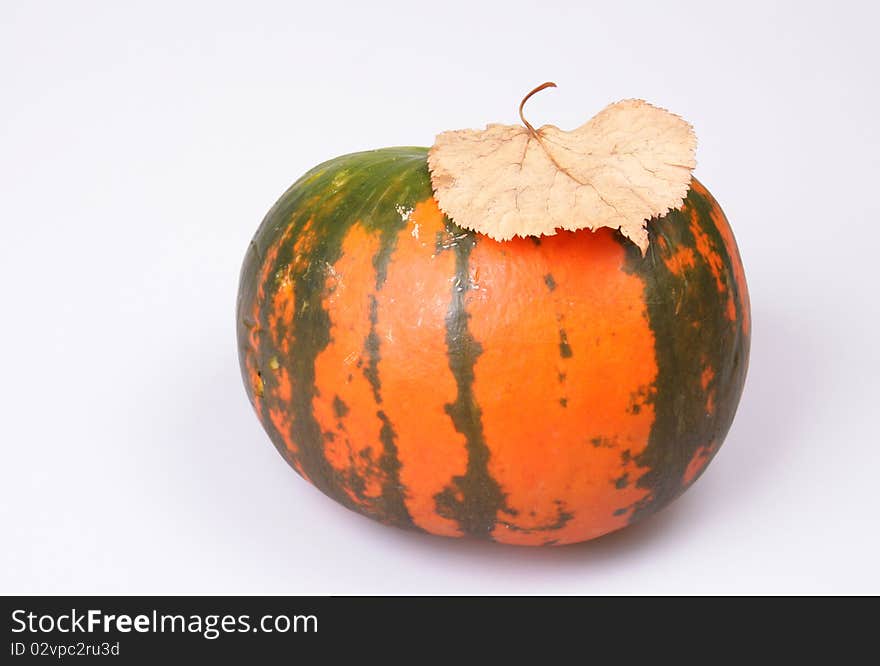 The bright pumpkin and maple leaves make an autumn still-life