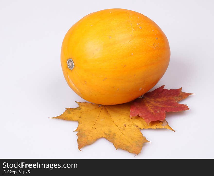 The bright pumpkin and maple leaves make an autumn still-life