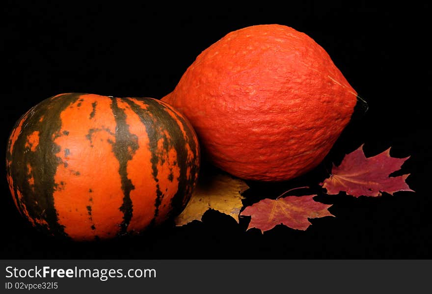 Bright pumpkins make an autumn still-life