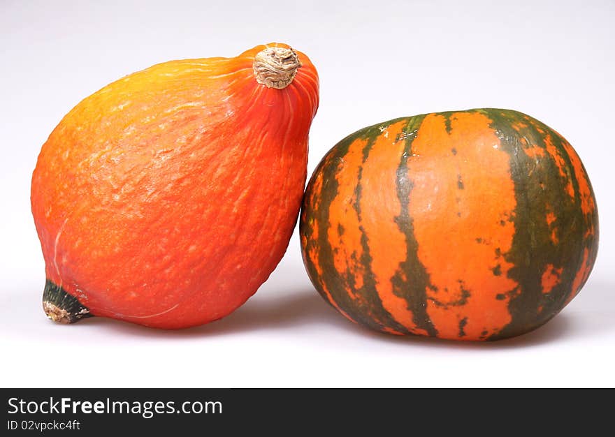 Bright pumpkins make an autumn still-life