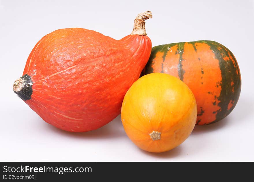 Bright pumpkins make an autumn still-life