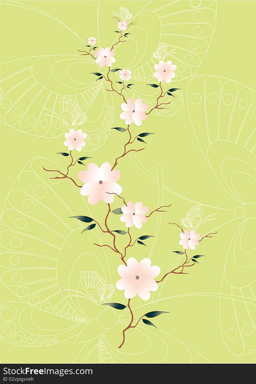 Pink sakura and green background