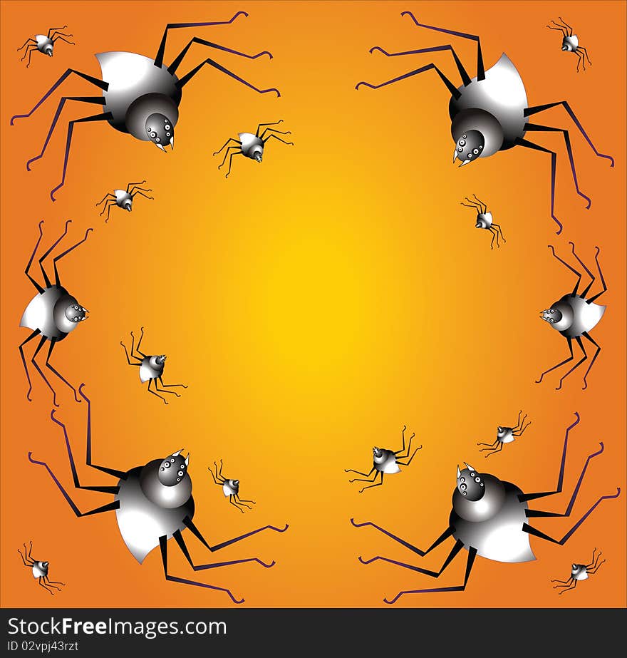 Spider on a orange background. Spider on a orange background