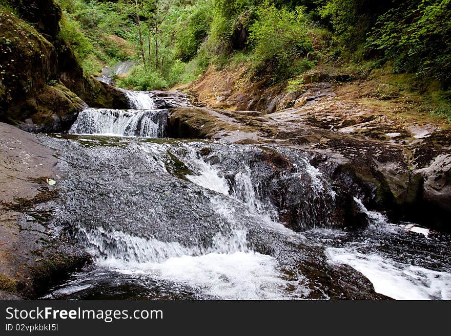 Sweet Creek Falls