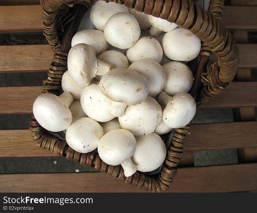 Basket full of mushrooms in the garden