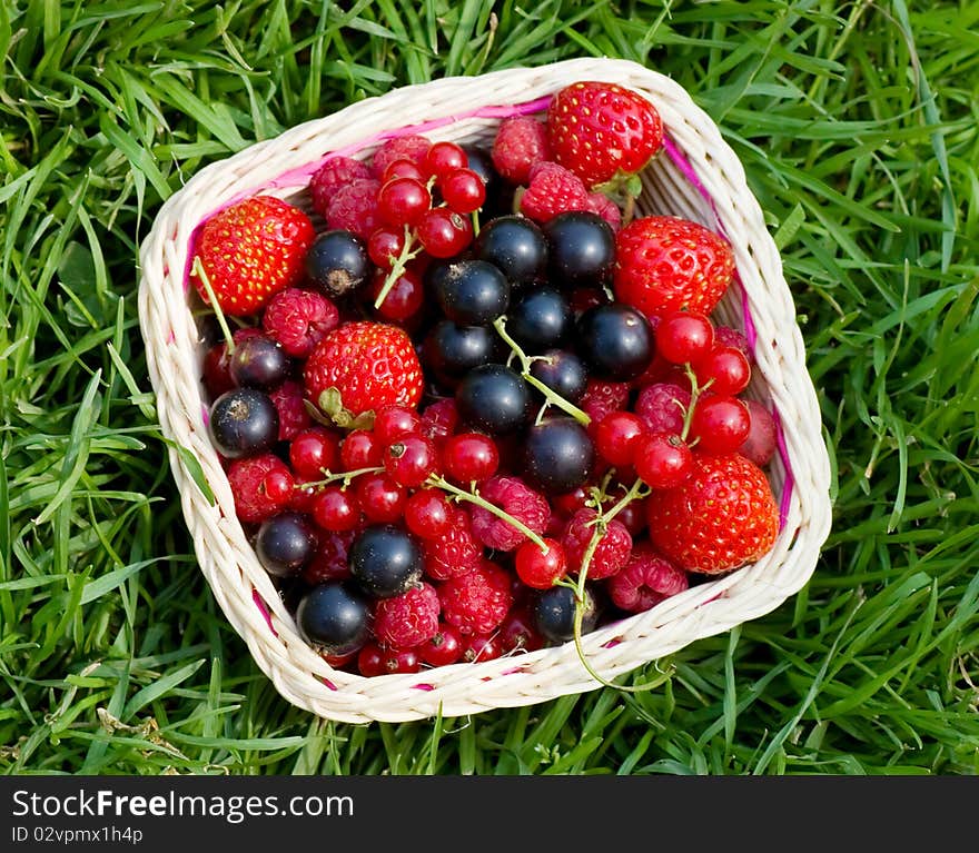 Ripe berries in a basket tpo view