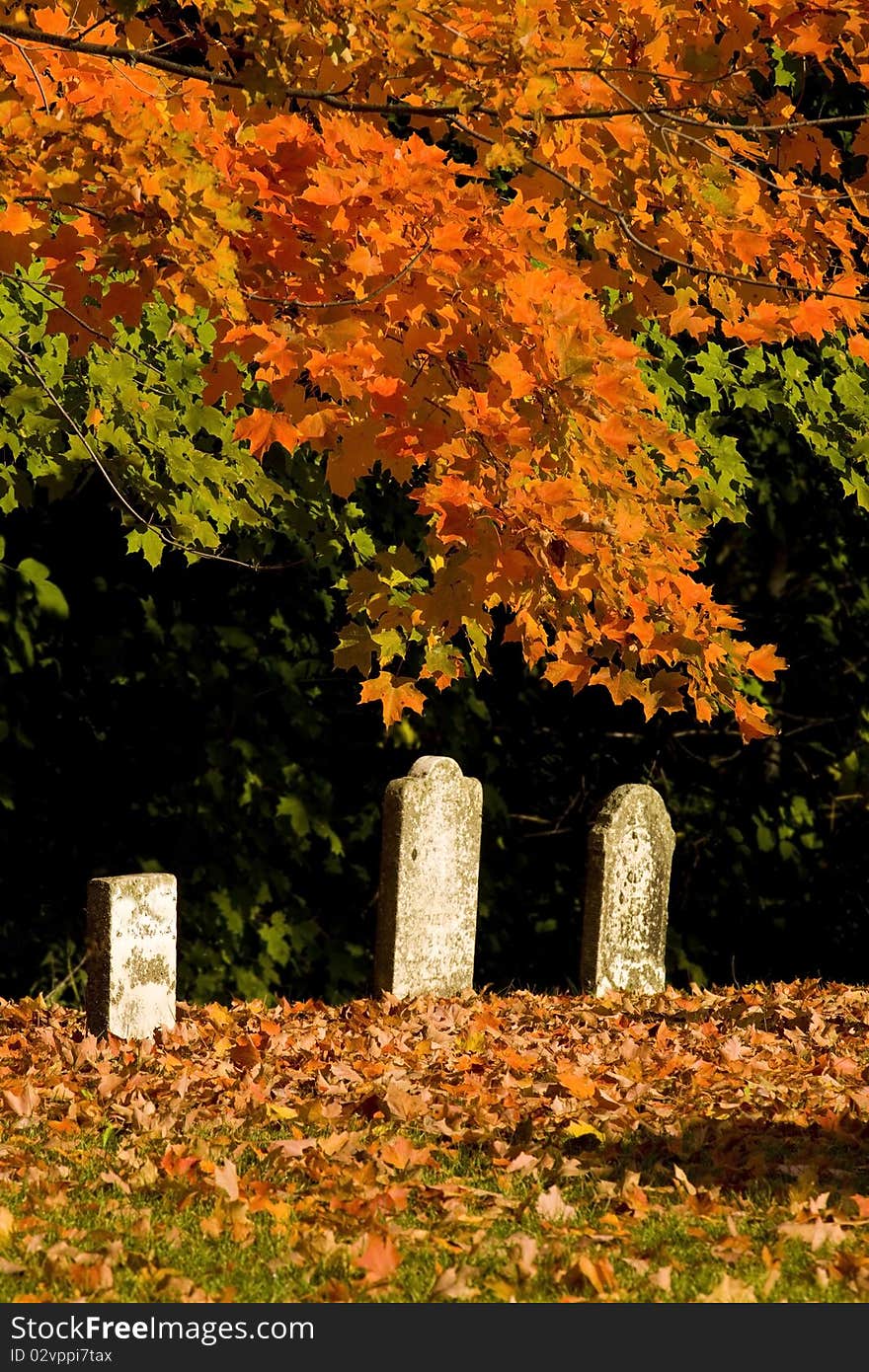 Spooky graveyard with fall leaves on ground by tombs. Spooky graveyard with fall leaves on ground by tombs